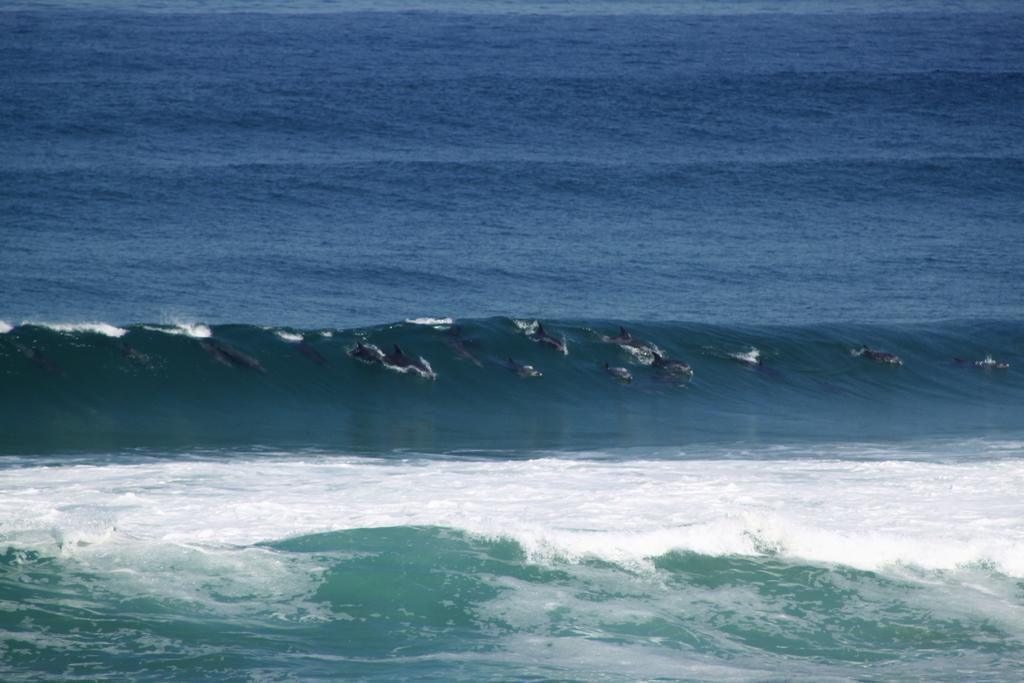 Murphys Port Elizabeth Kültér fotó